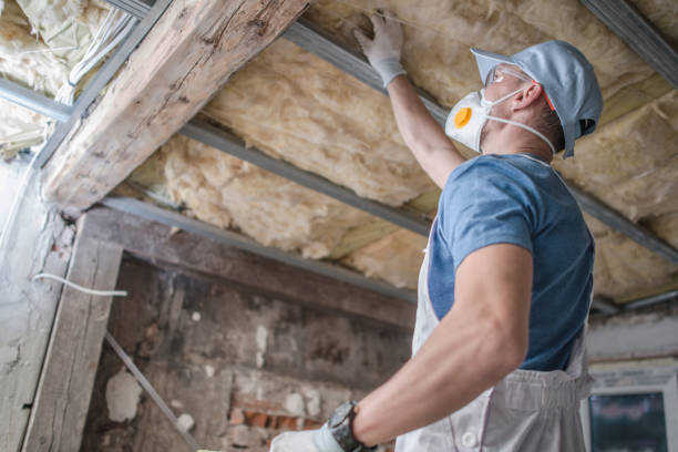 Types of Insulation We Offer in Brookwood, AL