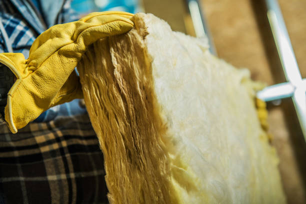 Professional Insulation Contractor in Brookwood, AL